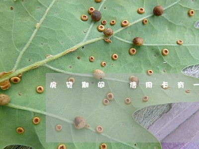 房贷期间 信用卡有一次逾期 房贷期间 信用卡有一次逾期